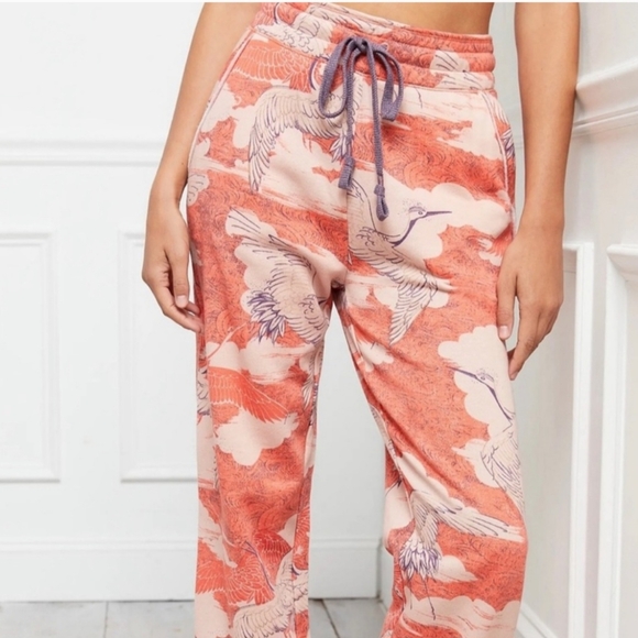 Anthropologie Dailey Practice Camilla knit jogger sweatpants cranebird print. XS - Picture 9 of 13